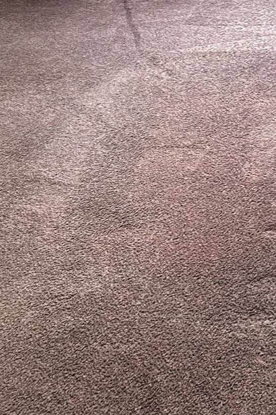 Carpet Cleaning Carpet Cleaning in Costa Mesa